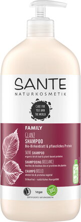Sante Šampón GLOSS brezový s rastlinným proteínom, 950 ml